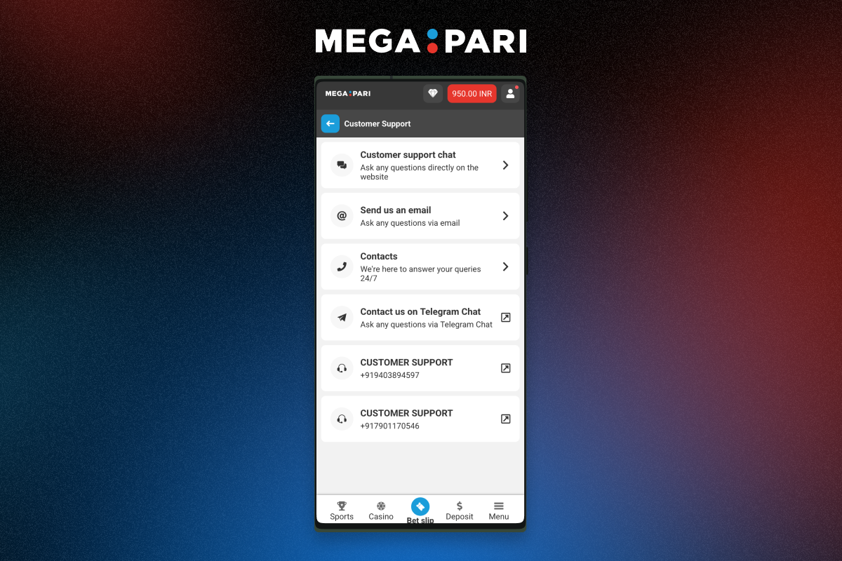 Contact Megapari support through available channels